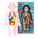 Brinquedo Kit Medico Boneco Corpo Humano - Toyng - Imagem 2