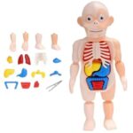 Brinquedo Kit Medico Boneco Corpo Humano - Toyng - Imagem 3